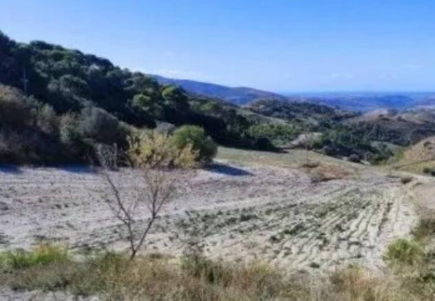 Immobile in asta di 15000 m² in vendita a Licodia Eubea - Foto 4
