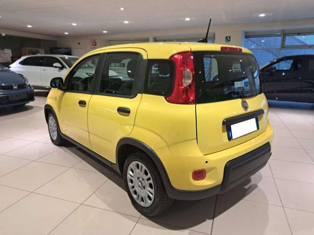 Fiat Panda Pandina III 2024 Pandina 1.0 firefly hybrid s - Foto 8