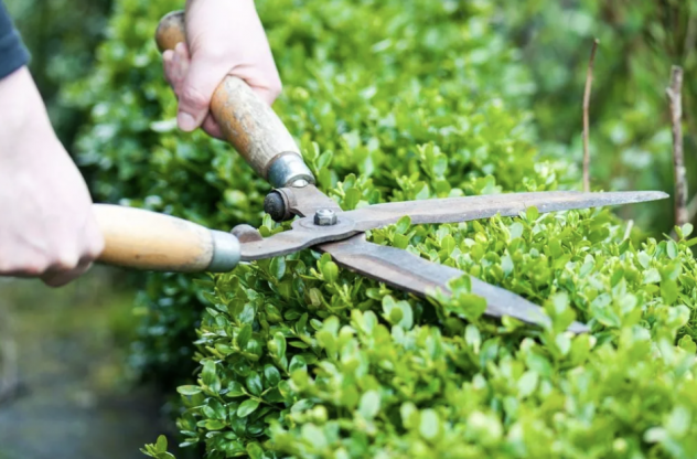 GIARDINIERE PER MANUTENZIONE VERDE MOGLIANO MARCON FAVARO - Foto 2