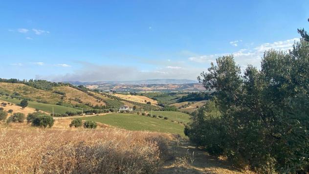 Terreno Agricolo - Roseto degli Abruzzi . Rif.: Cod. rif A132VCG - Foto 8