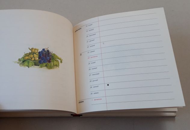 I giorni e i fiori - Foto 6