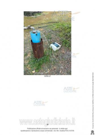 IMMOBILI-ALTRA CATEGORIA-Contrada Monello - Foto 2