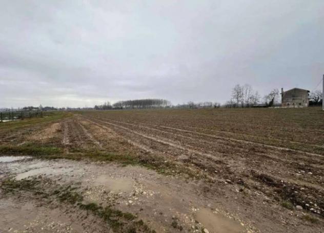 Immobile in asta di 35262 m² in vendita a Morgano - Foto 2