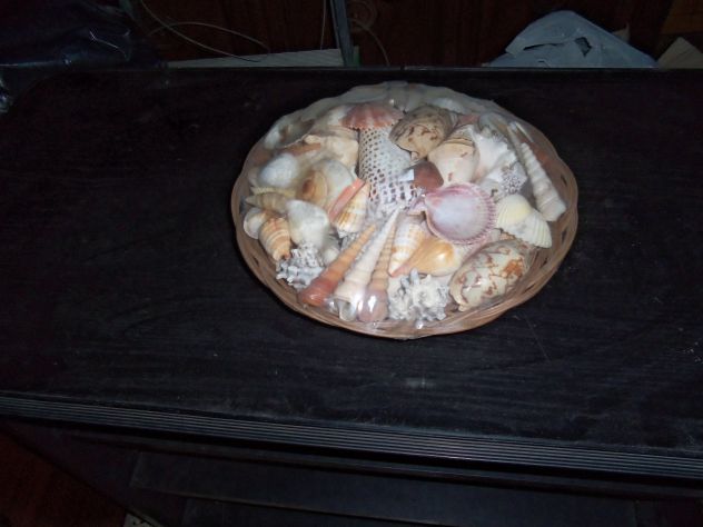 Vassoio in vimini con conchiglie