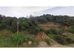 Terreno Residenziale - Quartu Sant'Elena . Rif.: 875
