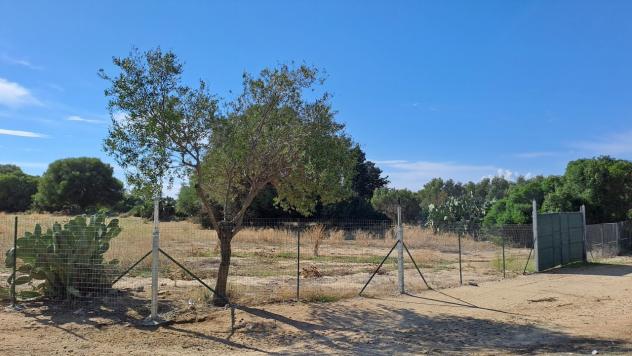 Agricolo in vendita a Quartucciu - Foto 15