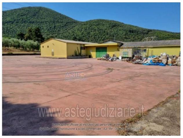 IMMOBILI-IMMOBILE COMMERCIALE-Via Madonna delle Grazie, 31, 04015 Pruneto LT, Italia - Foto 6