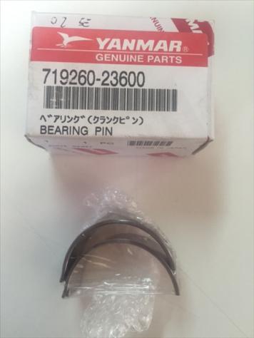 BRONZINA BIELLA STANDARD MOT YANMAR 2TNE