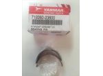 BRONZINA BIELLA STANDARD MOT YANMAR 2TNE
