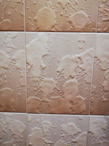 wc cesame color champagne e piastrelle - Foto 2