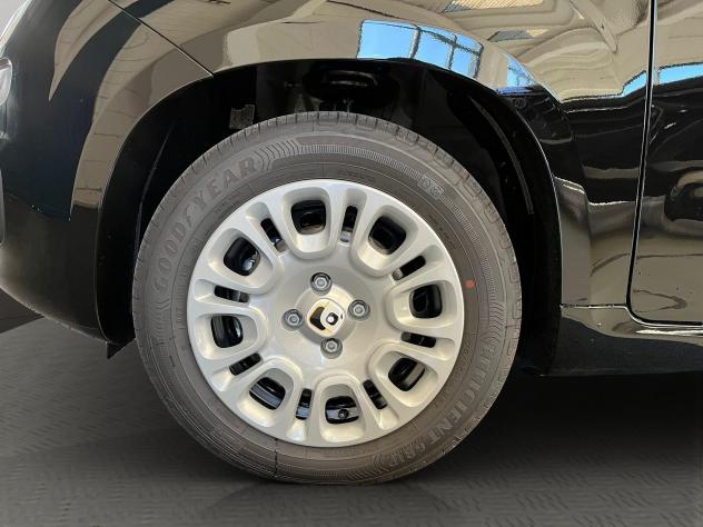 FIAT Pandina Pandina 1.0 firefly hybrid Icon s&s 65cv - Foto 4