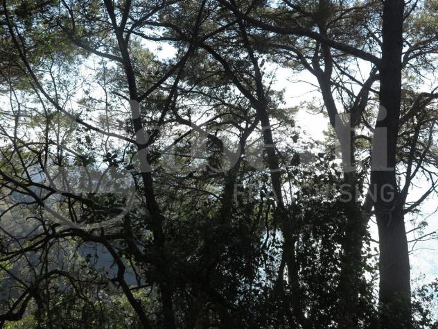 Rustico/Casale/Corte - Lerici . Rif.: 629VRG - Foto 16