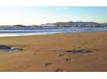 Stabilimento balneare in vendita a Massa 1500 mq  Rif: 1334549