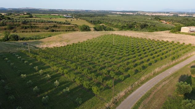 Podere Località Roggi - Foto 3