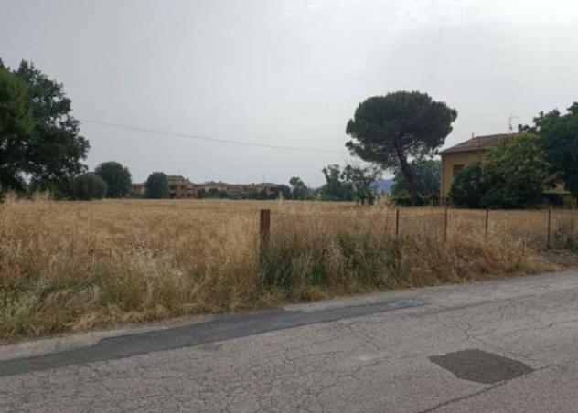 Immobile in asta di 21767 m² in vendita a Monte Porzio - Foto 3