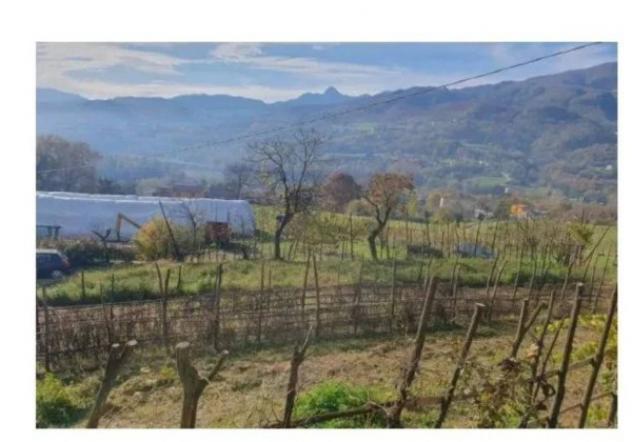 Immobile in asta di 174275 m² in vendita a Pieve Fosciana - Foto 7