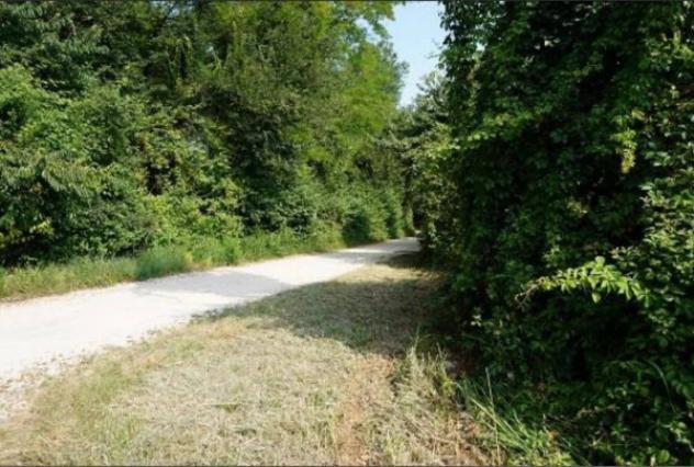 Immobile in asta di 11124 m² in vendita a Sovizzo - Foto 5