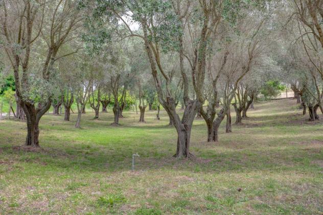 Villa in vendita a Fiumicino - Foto 20