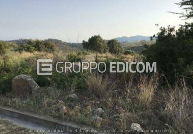 Terreno di 32550 mq in vendita a Ferruzzano - Rif. 4546625 - Foto 5