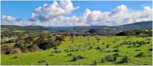 Immobile in asta di 22900 m² in vendita a Fordongianus - Foto 5