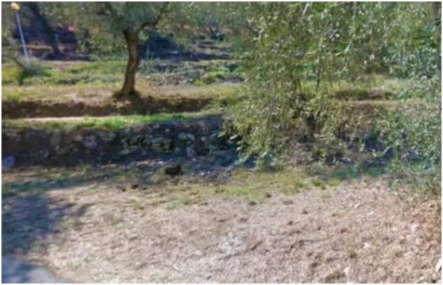 Immobile in asta di 2610 m² in vendita a Pietrabruna - Foto 2