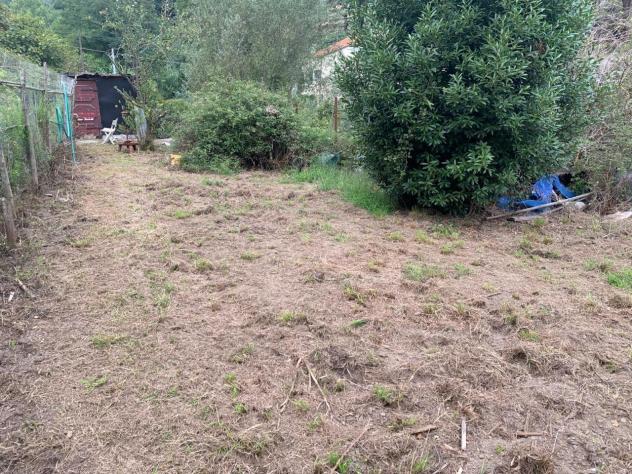 Frutteto in vendita a Vado Ligure - Foto 7