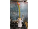Moka Cactus – Hildewintera Aureispina – Piante Grasse