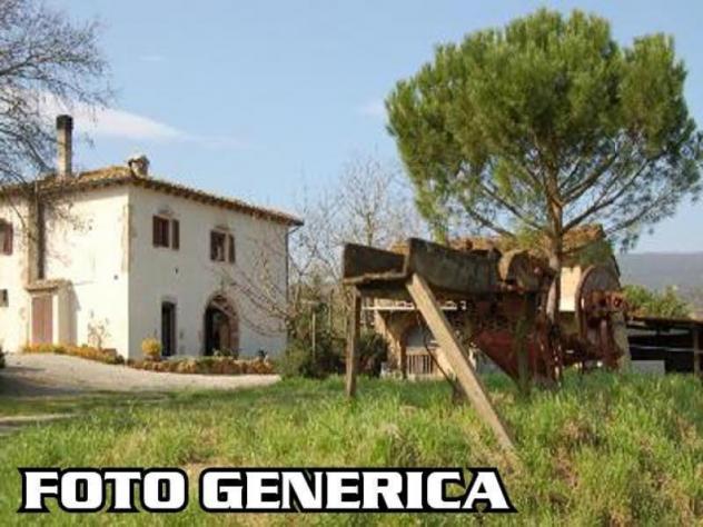 Terreno agricolo in vendita a Massaciuccoli - Massarosa 500000 mq Rif: 755525