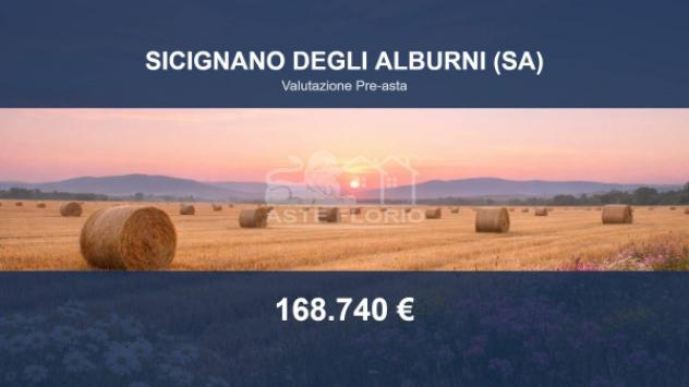 Immobile in asta di 173479 m² in vendita a Sicignano degli Alburni