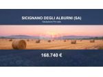 Immobile in asta di 173479 m² in vendita a Sicignano degli Alburni
