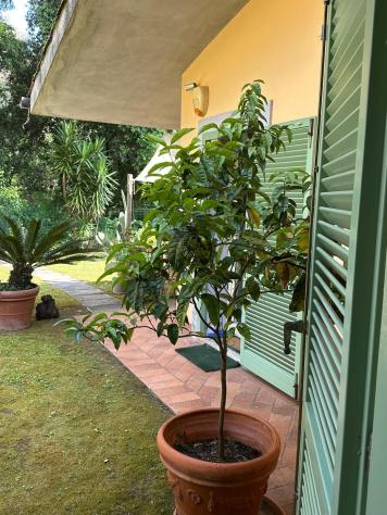 Villetta a schiera in vendita a Ronchi - Massa 55 mq Rif: 1386692 - Foto 2