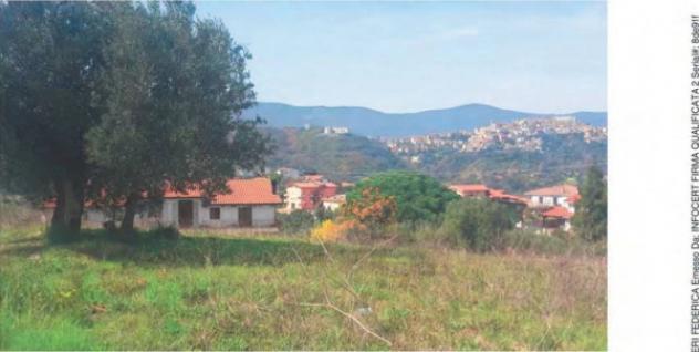 Immobile in asta di 1980 m² in vendita a Montalto Uffugo - Foto 2