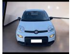 FIAT Panda III 2021 1.0 firefly hybrid s&s 70cv