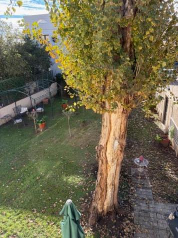 Casa semindipendente in vendita a Navacchio - Cascina 340 mq Rif: 1370884 - Foto 10