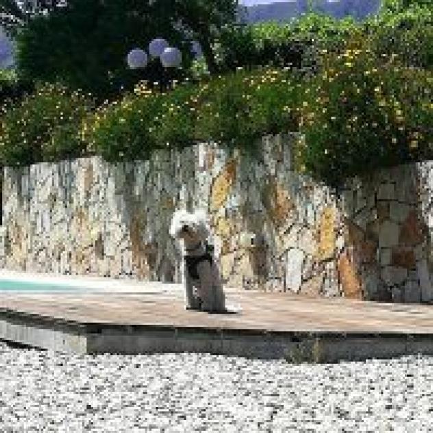 Villa Borgovecchio B&B - Foto 2