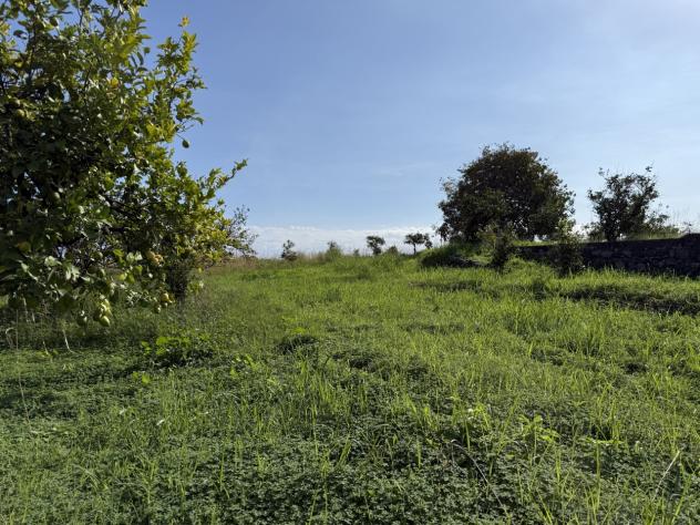Agricolo in vendita a Giarre - Foto 15