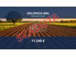 Immobile in asta di 6 m² in vendita a Solopaca