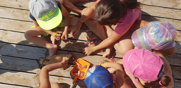 Ricerchiamo animatrici mini club