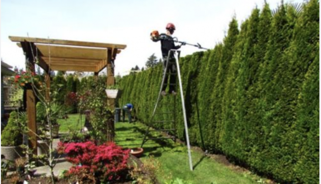 GIARDINIERE PER MANUTENZIONE VERDE MOGLIANO MARCON FAVARO - Foto 4