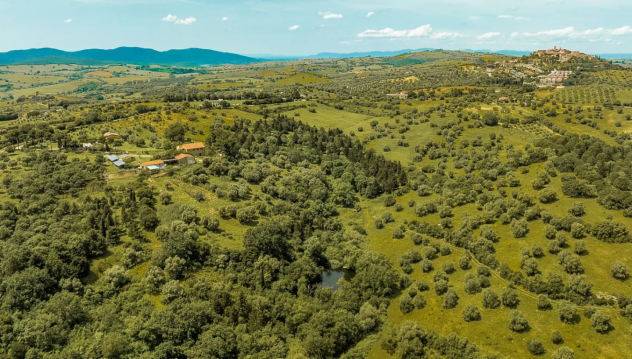 Villa in vendita a Magliano in Toscana 1100 mq Rif: 1311185 - Foto 7