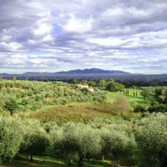 Agriturismo Casa Vacanze Belvedere Pozzuolo - Foto 2