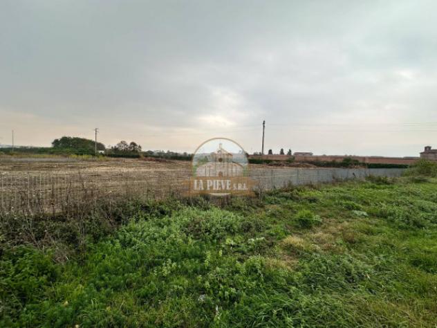 Immobile di 1500 m² in affitto a Pozzolo Formigaro - Foto 11