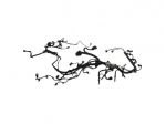 Impianto Cablaggio Motore Alfa Romeo Stelvio 2.2 55283317 - 45555