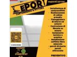 Leporicartongesso&Pittura