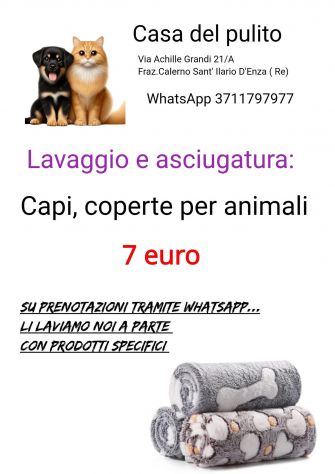 Lavaggio coperte , capi per animali