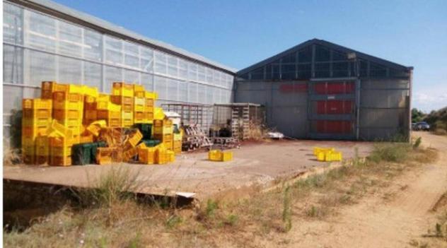 Immobile in asta di 6310 m² in vendita a Bernalda - Foto 5