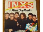 INXS - What You Need 45 giri Disco Promozionale