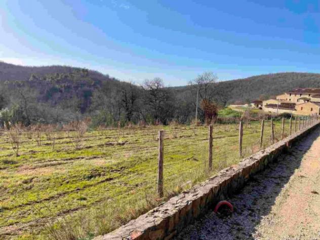 Immobile in asta di 34322 m² in vendita a Bucine - Foto 7