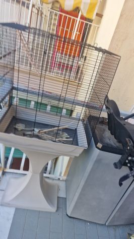 Parco Giochi Gabbia Grande per Pappagalli con Piedistallo e Posatoio - Foto 3