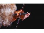 Violinista Sondrio